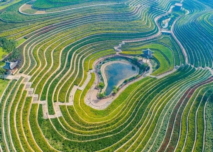 毕节市大方县旅游攻略一日游路线,毕节地区旅游攻略大全最新