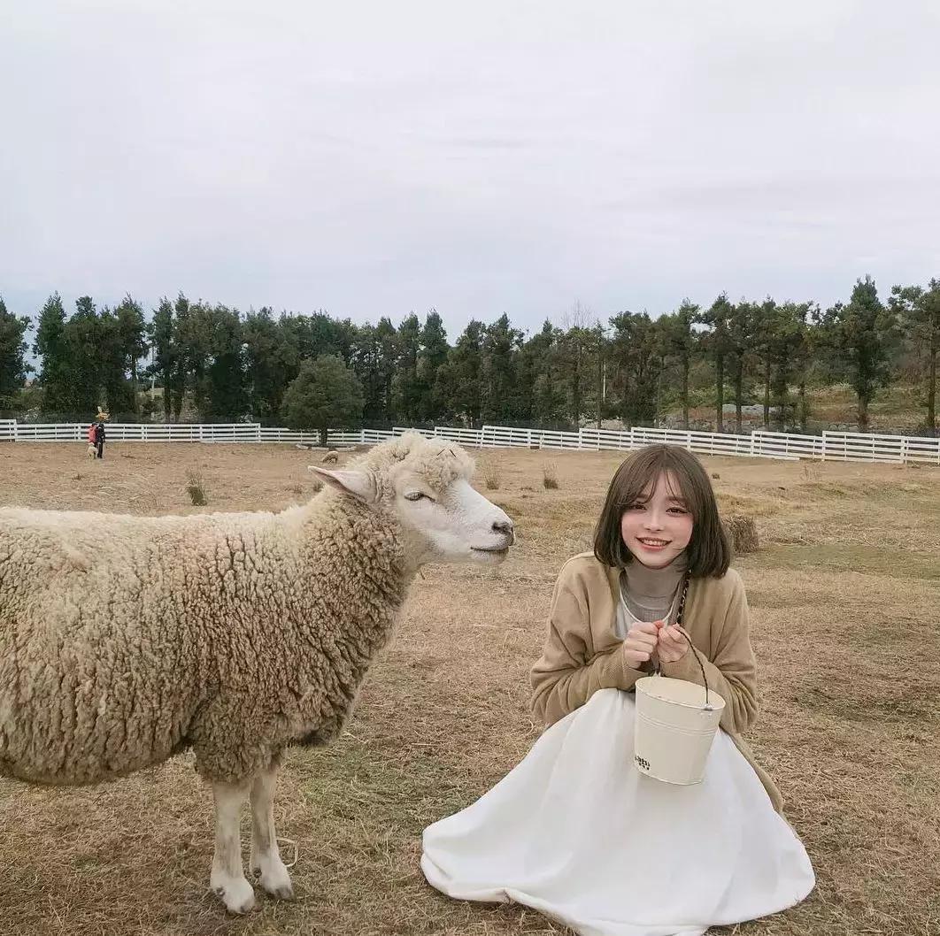 济州岛和夏威夷对比,济州岛最新海岛