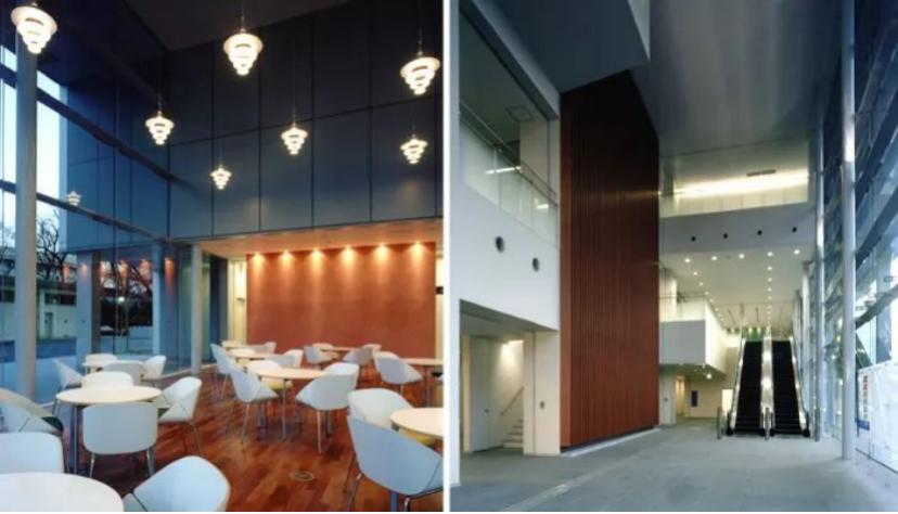 日本留学最热门的大学,留学网红排行