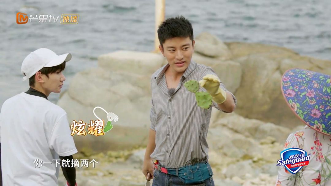 《哈哈农夫》西岛站：王源、杨超越、贾乃亮、金瀚说出明星的烦恼