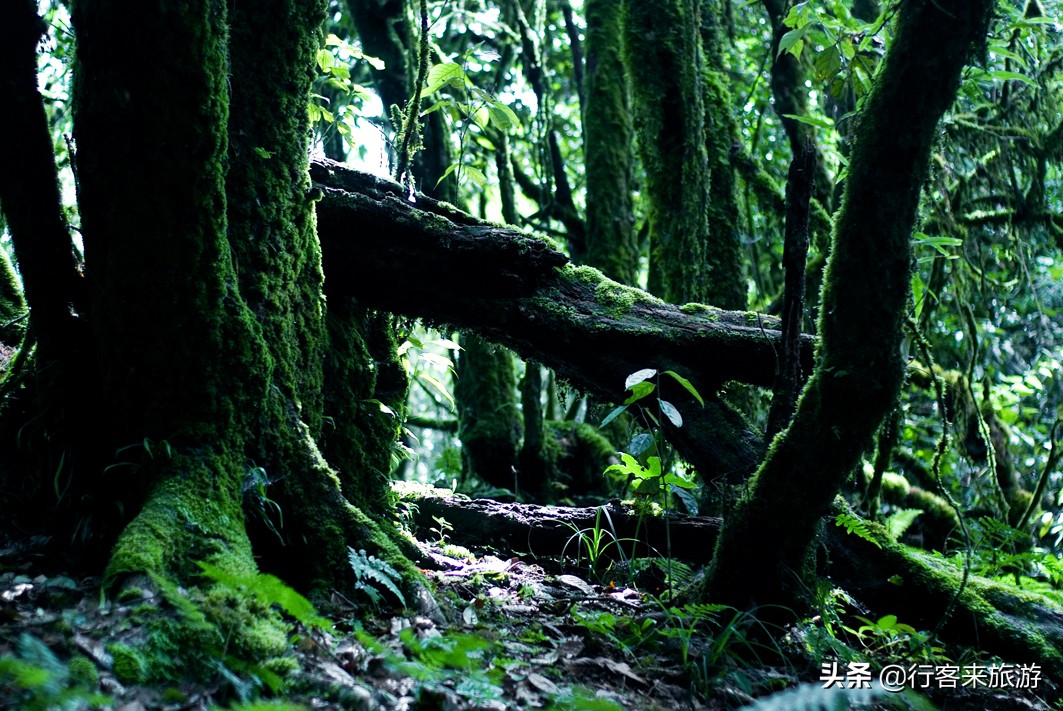 芒市黑河老坡沿途自然风景,云南旅游推荐芒市攻略