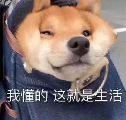 推荐一波手表给你们高颜值巨百搭,轻奢百搭女士手表