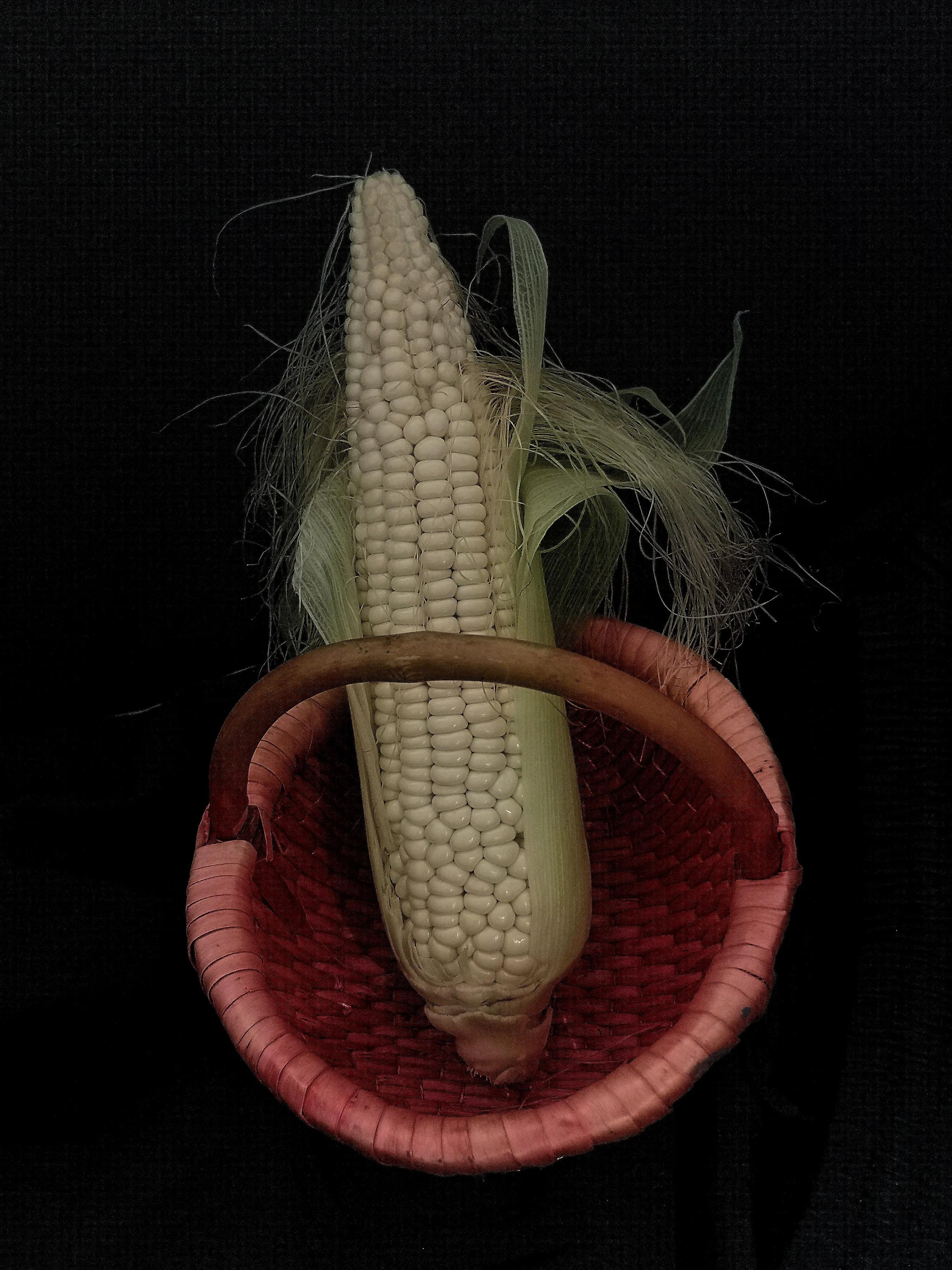 手拍世界手机摄影平台,手机摄影作品集大全集