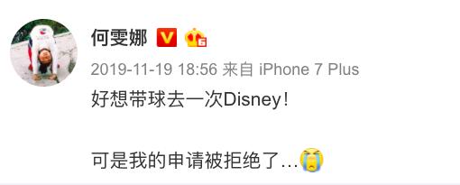 回顾何雯娜的成长经历,现在的何雯娜