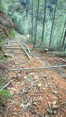 赌100袋辣条,赌十包辣条