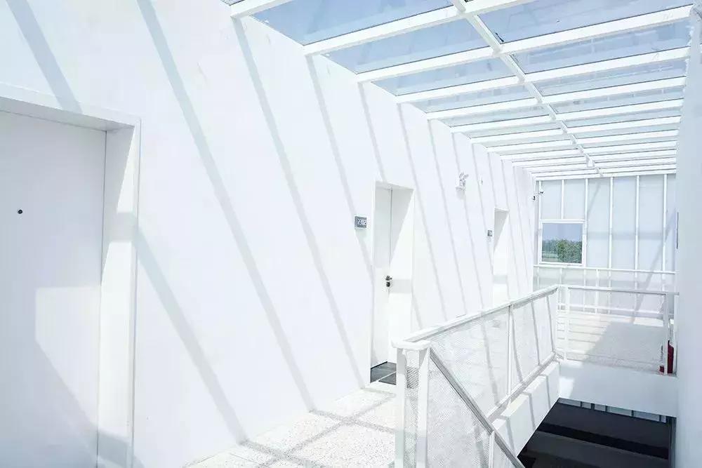 去上海必去的民宿,上海树林民宿推荐