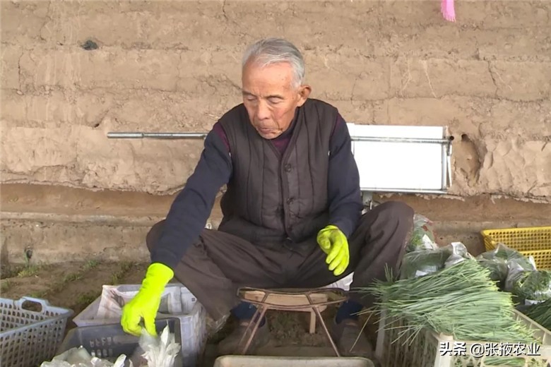 高台近郊休闲农业为民增收添动力,高台特色产业拓宽群众致富路