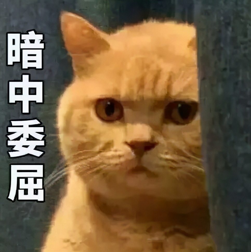 后双11省钱指南,月薪三千如何得到6位数存款?