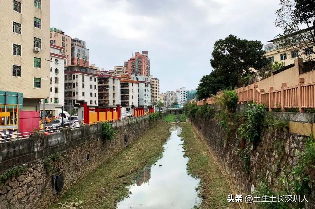 龙华有哪些街道,龙华村的由来