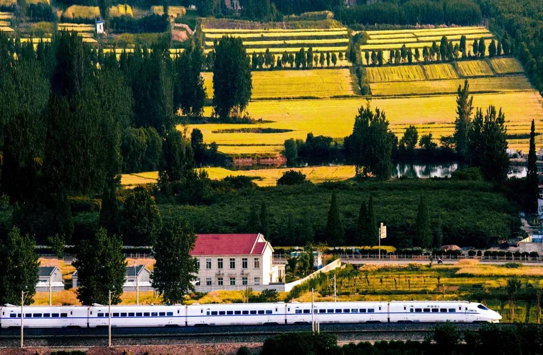 合六旅游攻略,六合一日游必去景点看花