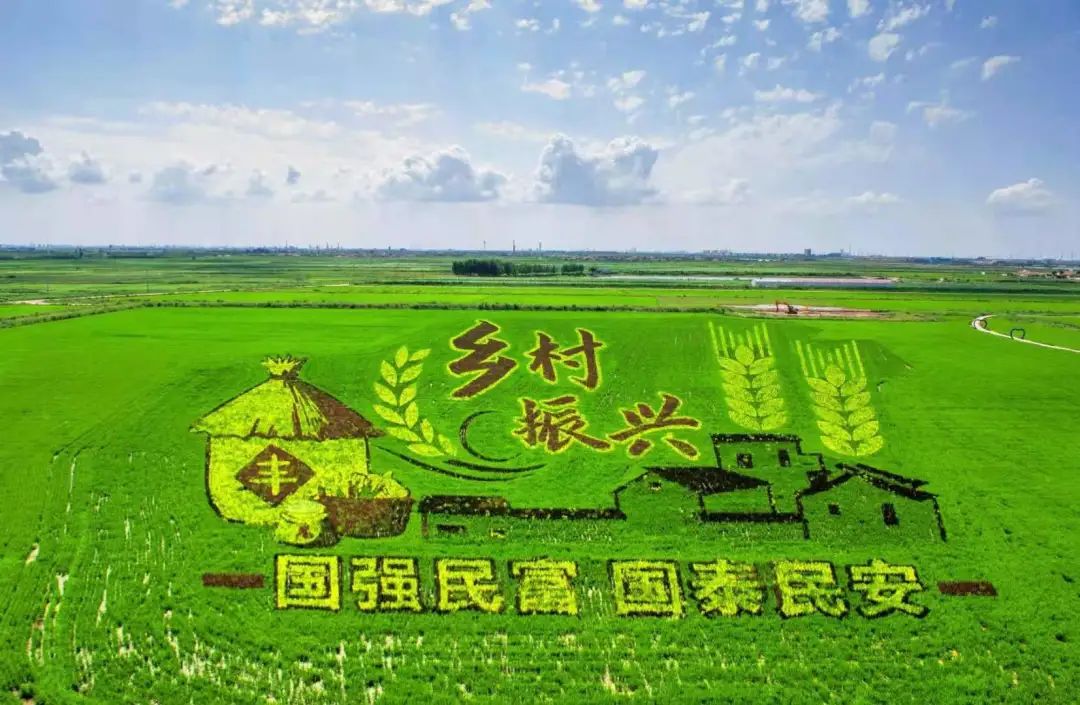 山东东营位置,这就是东营