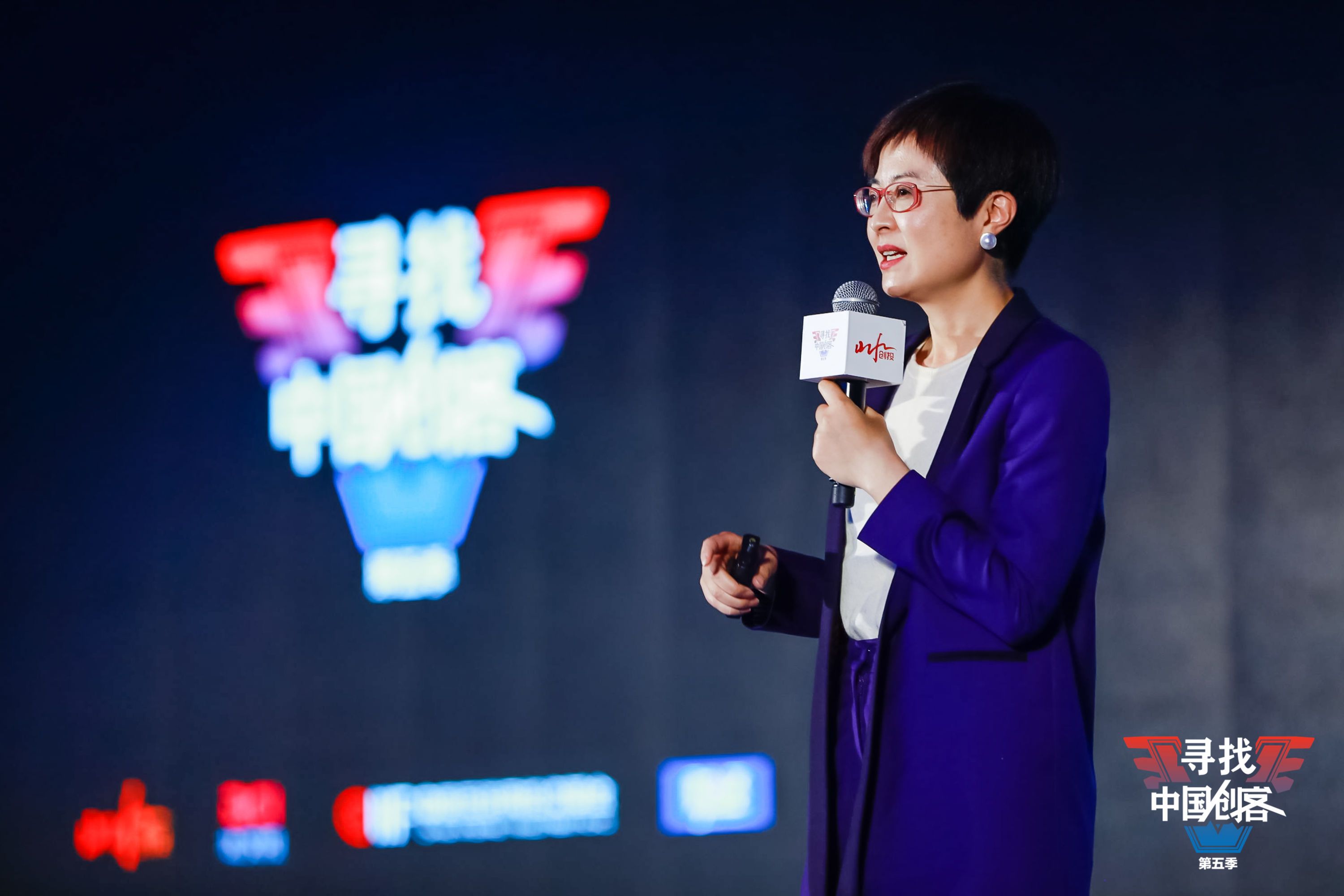 张泉灵紫牛基金,紫牛基金创始合伙人