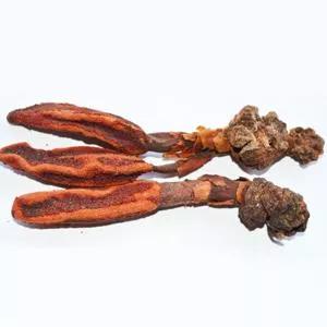 肾虚有哪些症状可以吃五子衍宗丸,女性夜间尿频尿多是肾虚的症状吗