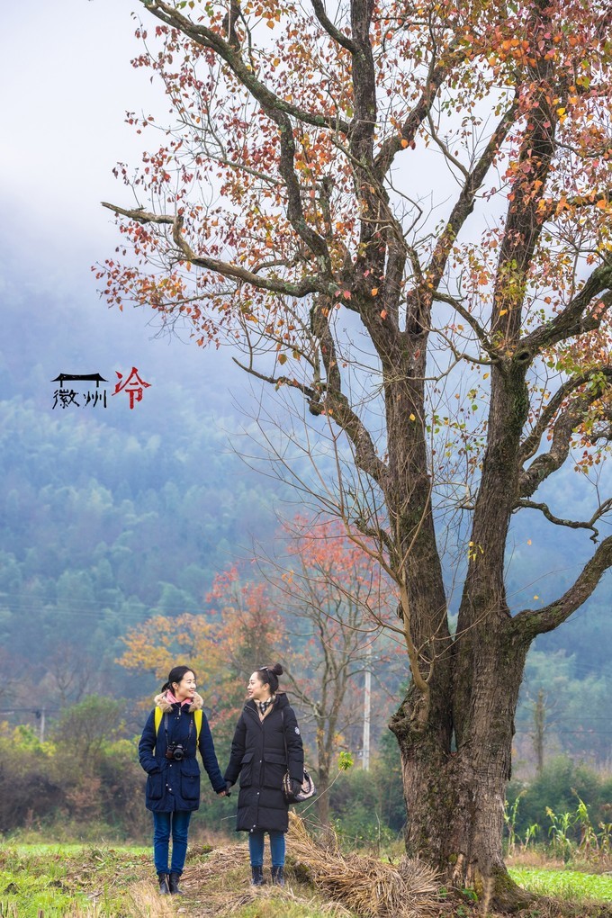 「徽州冷」宏村秋深晴少，友谊地久天