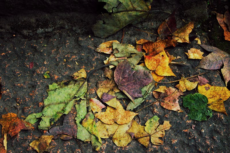 杭州适合散步小众景点,杭州人少景美的小众旅行地
