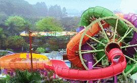 游玩广州长隆野生动物园美篇,广州长隆是怎么玩的