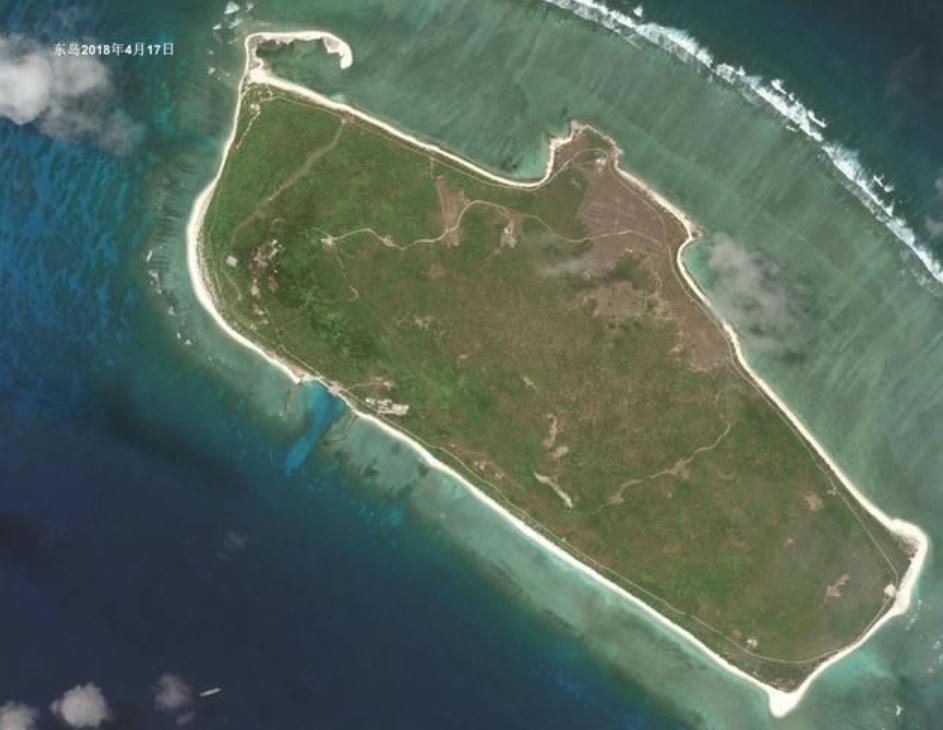 西沙东岛野牛群是从哪里来的,西沙东岛有多少野牛