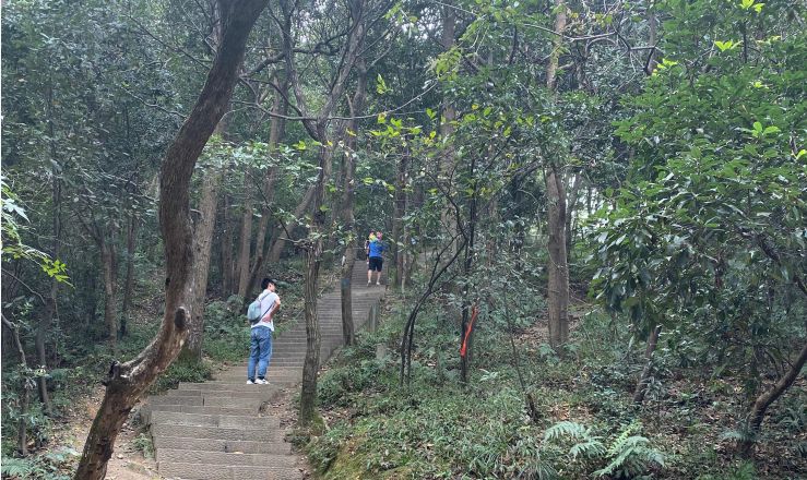 西湖毅行路线攻略图高清大图,杭州西湖毅行路线图