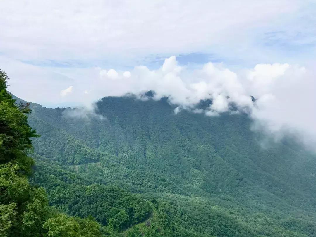 神农架攻略书,重庆出发神农架三日自驾游攻略
