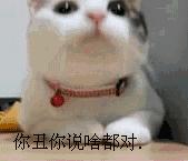 费洛蒙猫咪平替,费洛蒙猫咪行为