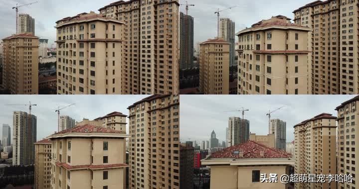 哈尔滨近期房价走势,哈尔滨楼市最新趋势