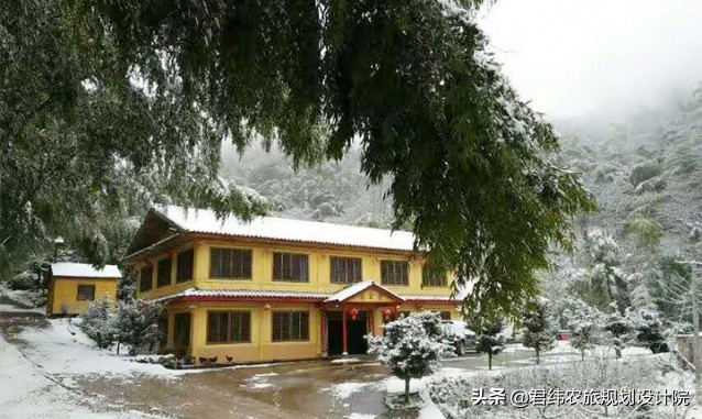 江西仙姑坛景区,2024年铜鼓仙姑坛杜鹃花开了吗