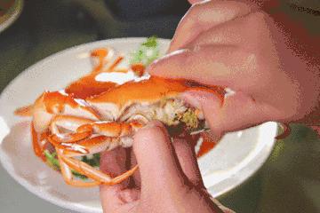 天冷了螃蟹也肥了,螃蟹肥了的视频