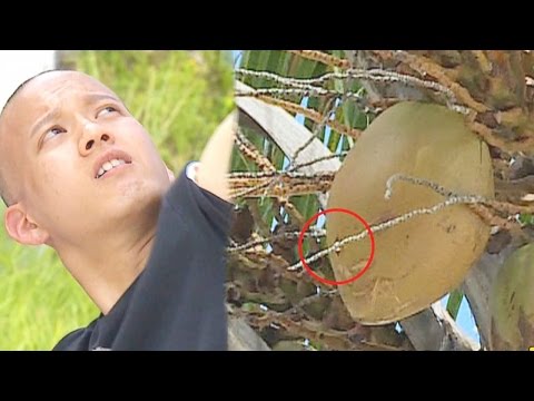 盘点娱乐圈的运动员,韩国明星的体育偶像