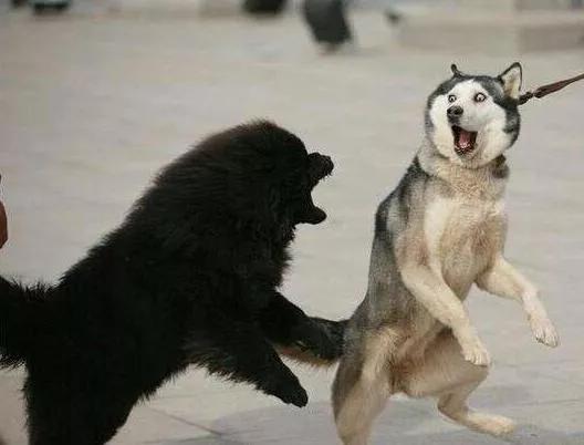 华为路由器ax3pro怎么修改密码,拼多多上的华为路由器是官方的吗