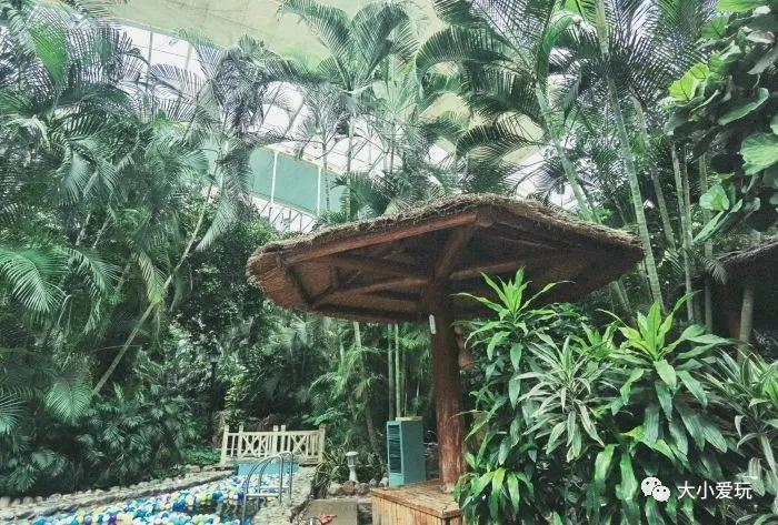 适合亲子泡温泉的地方,适合冬天带娃温泉水世界