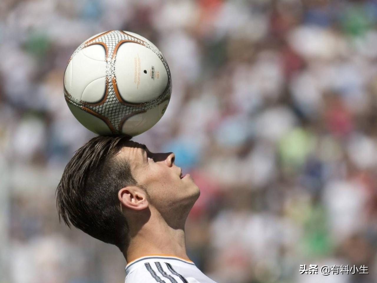 懂球帝天狼星vs北雪平分析,瑞超北雪平与天狼星比赛直播