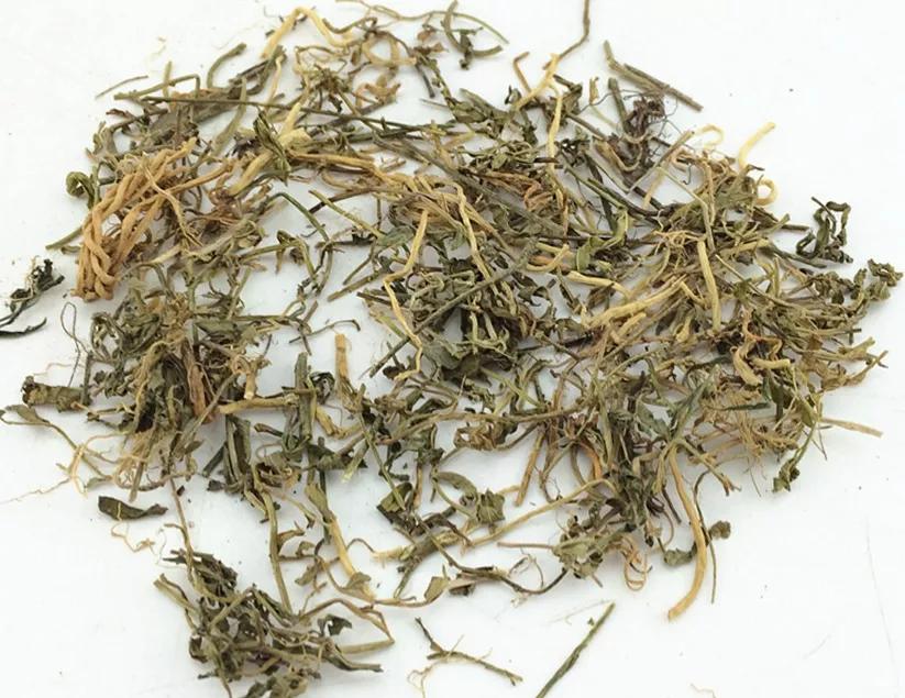 每日中药,中药半边莲和半枝莲的功效与作用