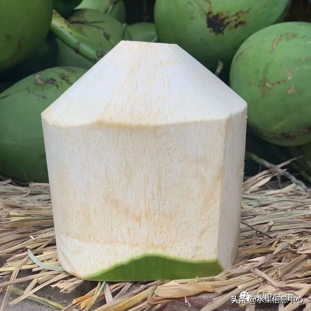 水果天堂：海南水果品种及上市时间表