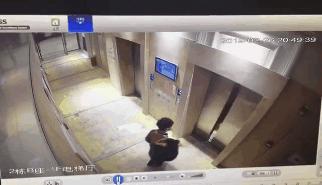 犬病的发现及护理常识,犬伤处置规范最新指南