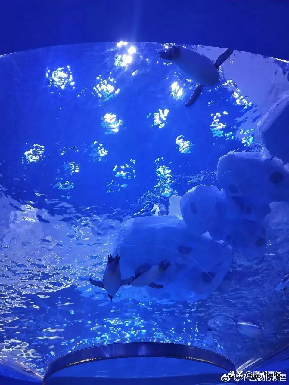 上海天安千树网红打卡点,上海打卡必去的地方排名