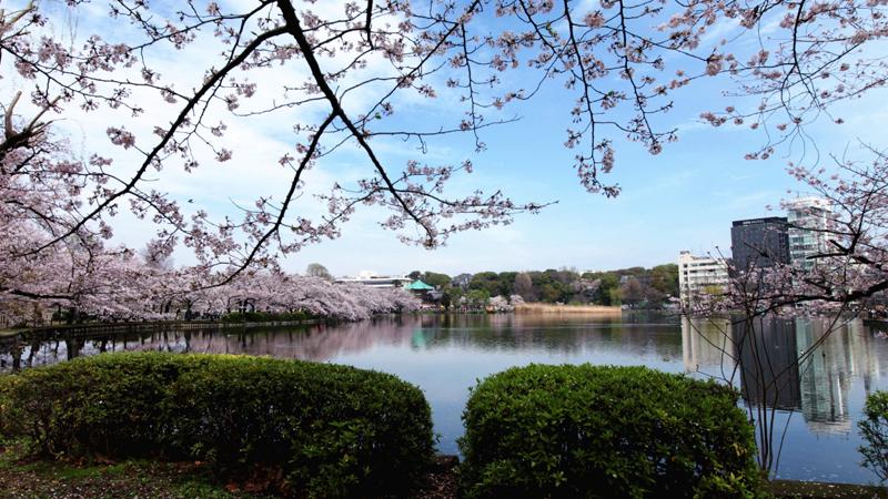 亚洲5大城市夜景,世界最美夜景50城市排行榜