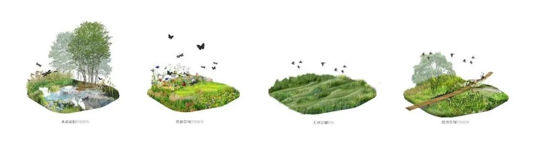 绾㈡爲鏋楁箍鍦板崥鐗╅,娣卞湷绾㈡爲鏋楁箍鍦板崥鐗╅浣嶇疆