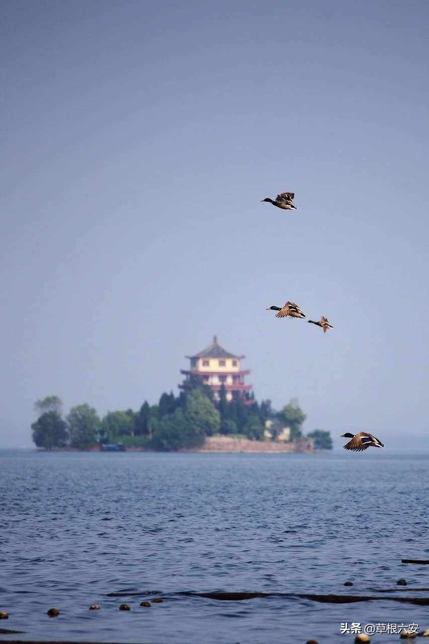 六安属于什么型城市,六安城市发展怎么样