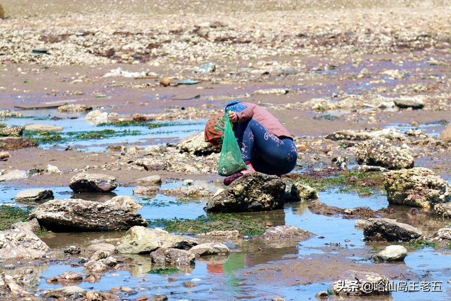 哈仙岛住宿多少钱：哈仙岛在哪里，哈仙岛到底怎么样？