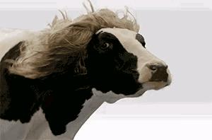 为什么加油站要24小时上班,为什么加油站一个工资1800