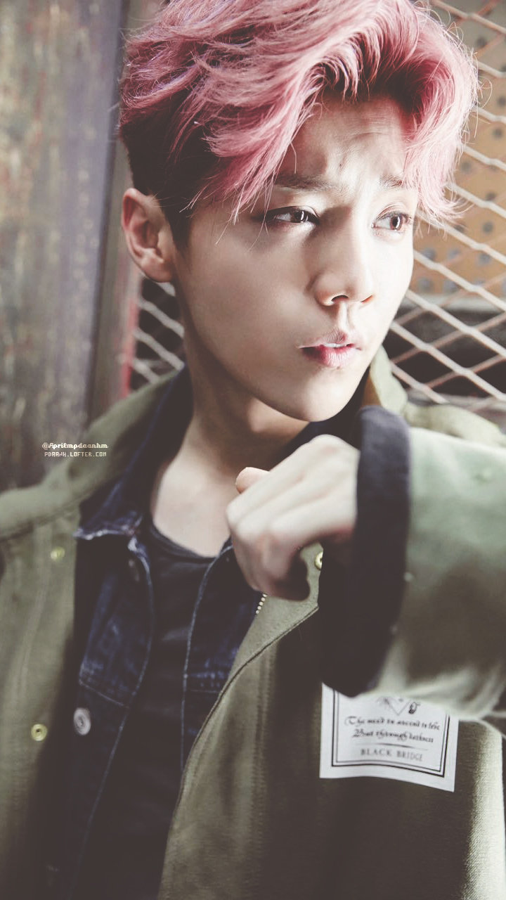 鹿晗壁纸,鹿晗和小鹿的壁纸