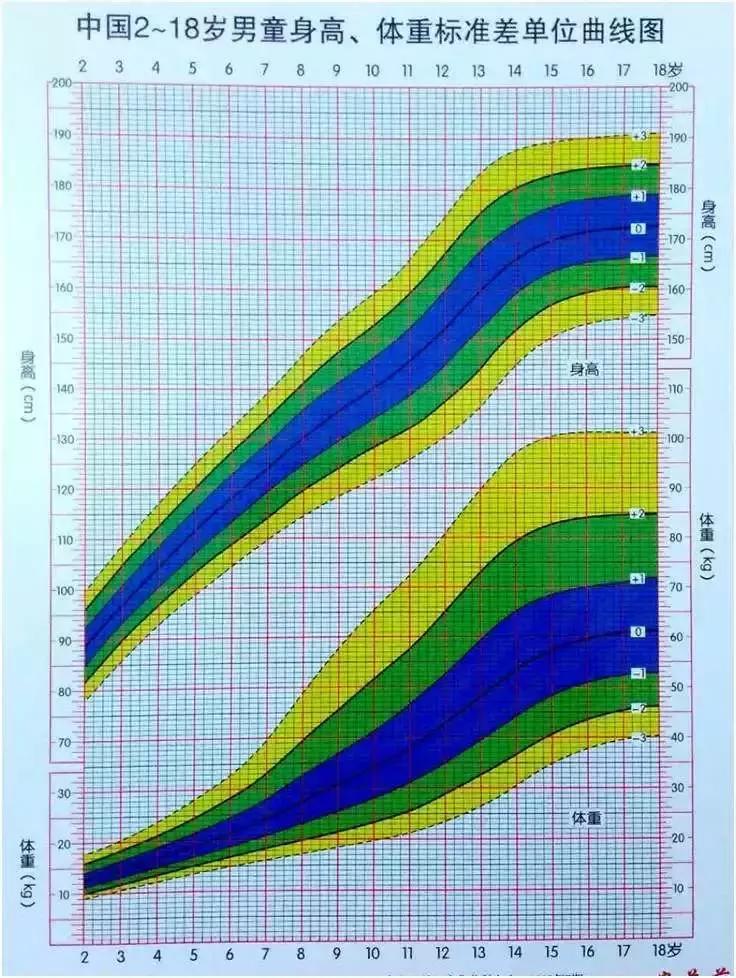 一个春天，比孩子低半头的同学，一下子超过了我们家宝宝