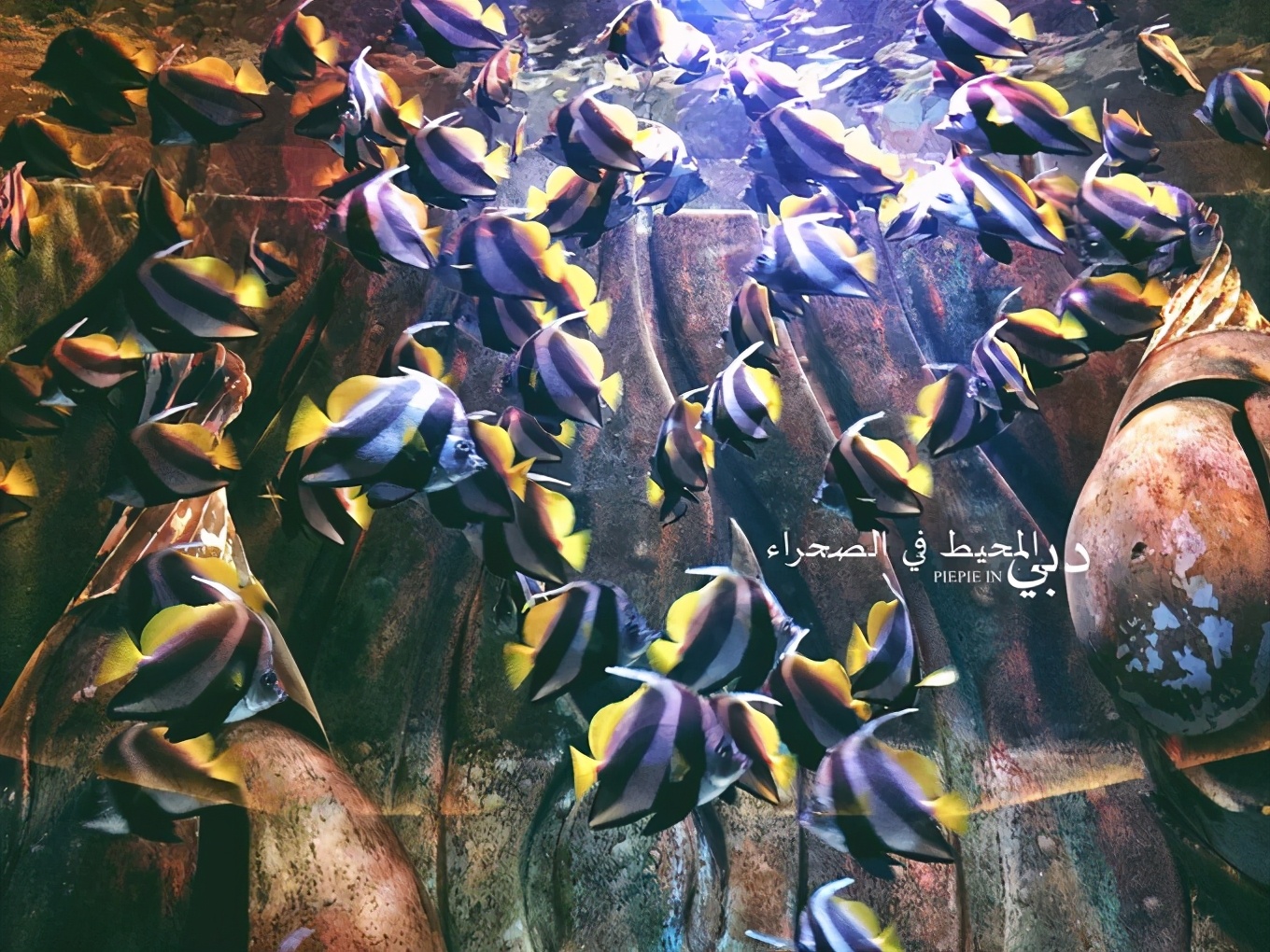 土豪之旅迪拜,迪拜土豪之旅