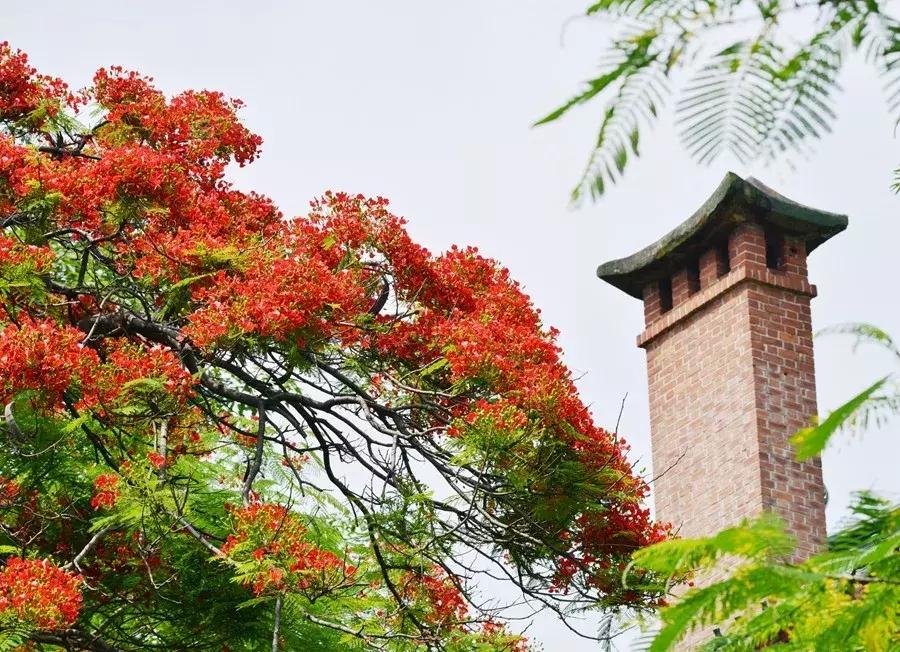 2020华南农业大学研究生复试时间,2023华南农业大学研究生招生