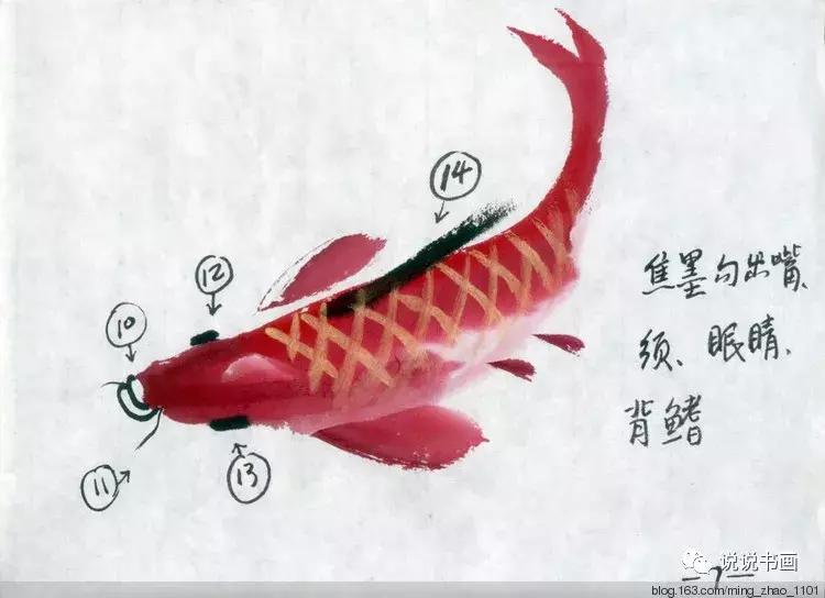 工笔画花鸟入门教程步骤图,国画教学工笔花鸟燕子的重彩画法