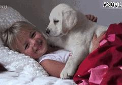 狗子偷偷亲我的第N次，难道不是真爱吗？