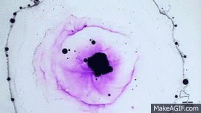 生活中的化学小实验和原理,化学原理动图100例
