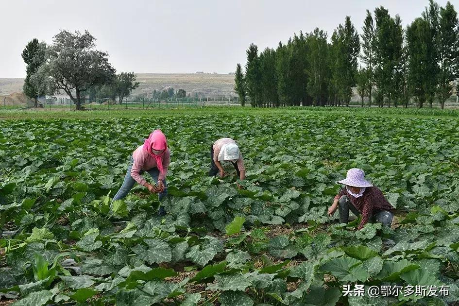 中水上山！东胜这座矿山堪比“花果山”！