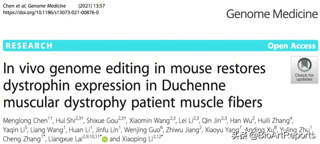 杜氏肌营养不良基因疗法最新进展,基因治疗疾病最新突破