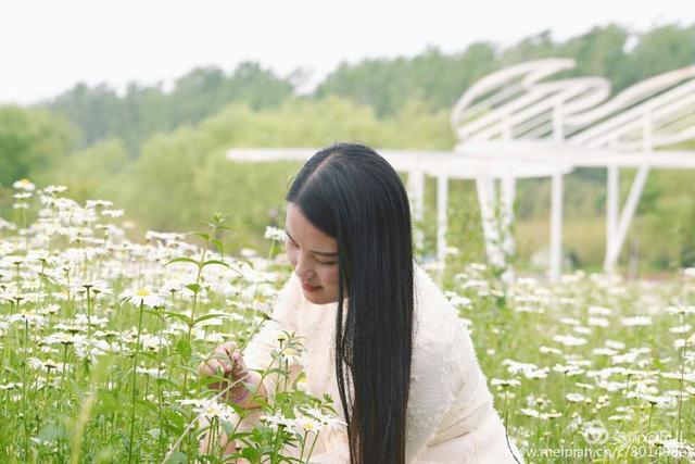 大美新蔡生态水城,大美新蔡等你来